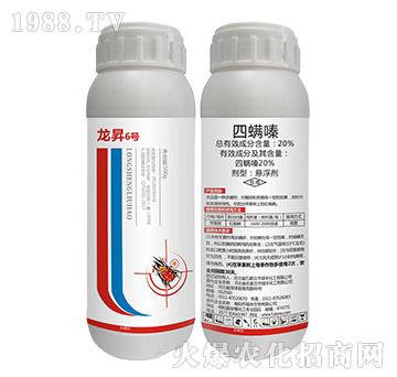 20%�����-���N6̖(h��o)-���N����