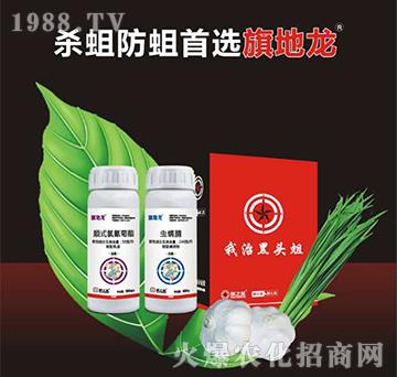 10%현�(sh��)�������+240��ÿ���x����-�����-��֮��