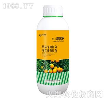 �ݲݡ�����ѿ�ߗU��-������-̩����