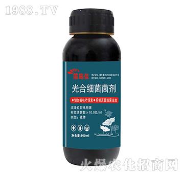 ��ϼ�(x��)������-˪ʩ��-����