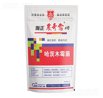 ����ľù��-����r(n��ng)����4̖(h��o)-������r(n��ng)