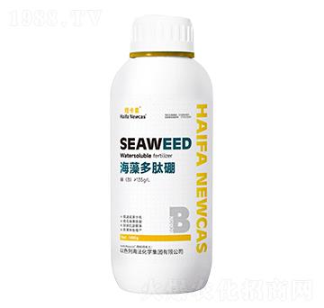 ���������-�~����-���r(n��ng)�W��