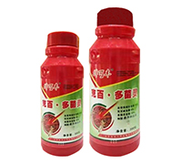 �˰١�����`