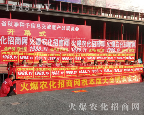     2017�������r(n��ng)ˎ���ו���1988.TV�������F(xi��n)�����P(gu��n)ע��