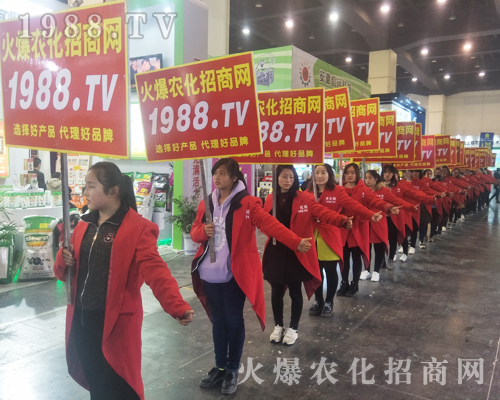 2017����Ϸ����p������1988.TV�����»���