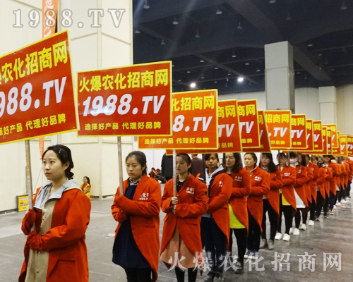     2017����ԭ���ϕ���1988.TV�����������ݲ��ɓ�