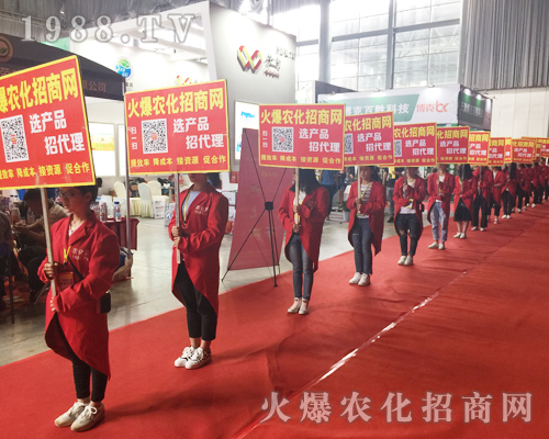 �o̎�����r(n��ng)���W(w��ng)���M�۱M�ǻ𱬼t��