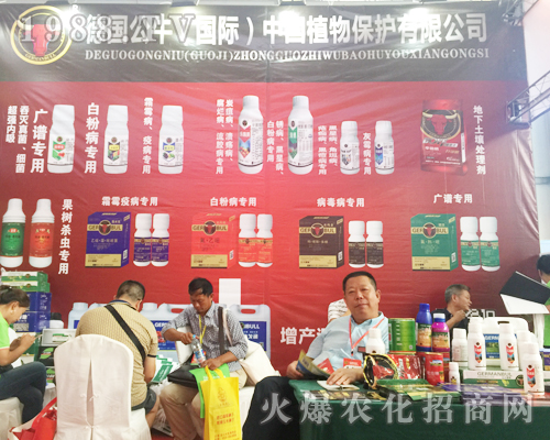 ����ţ�����H��ֲ���ڵ�ʮ�Č������r���[��¡������