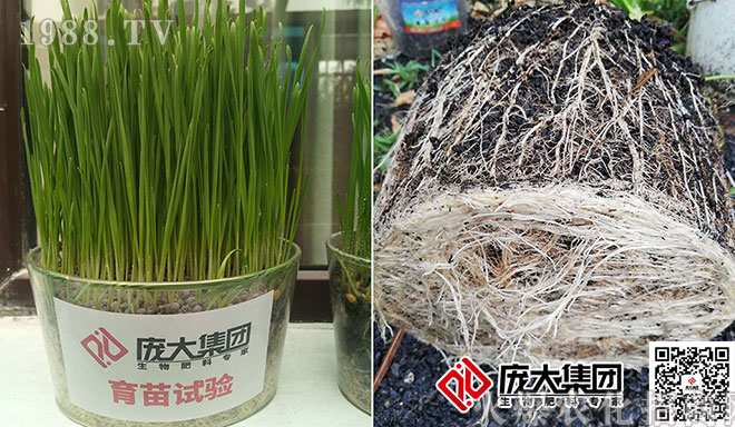 ���󼯈F(tu��n)��Ʒ�}��һ��