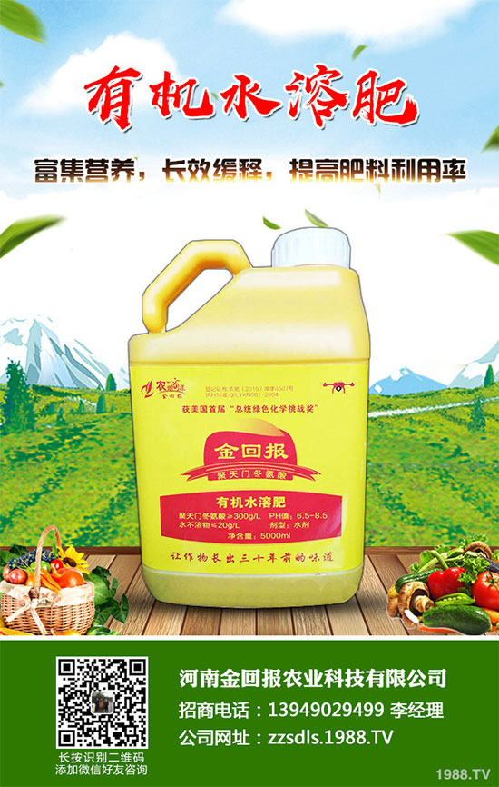 十月份蔬菜該怎么管理?2019年10月蔬菜種植管理指南