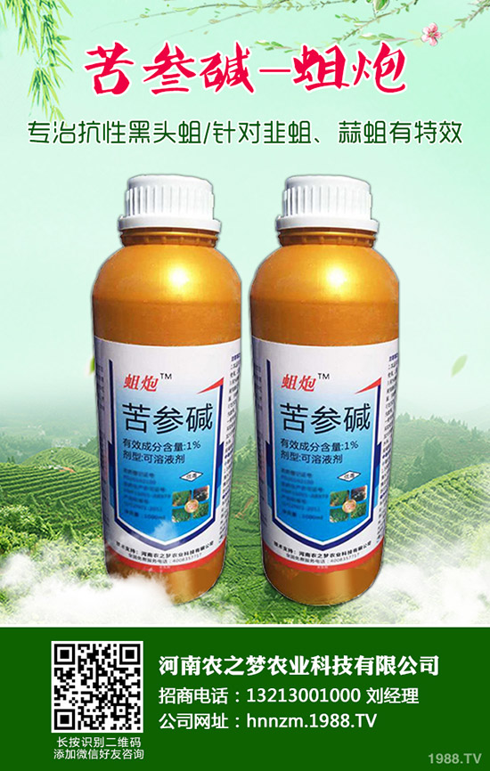 ��ĸ�ݵĹ�Ч�c���ã���ĸ�ݵ�ʹ�ý�����