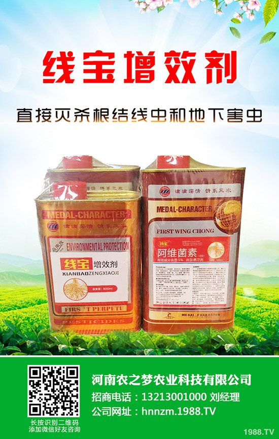 �۲˰l(f��)ѿ����ν�Q���۲˵Ĵ�ѿС������