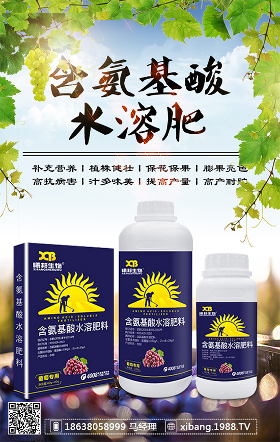 香蔥常見病害有哪些?香蔥病蟲害防治技術(shù)大全