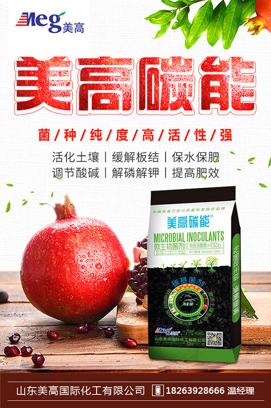     2019��10��17�ս��Շ���(n��i)⛷ʃr(ji��)�������߄�(sh��)�A(y��)�y(c��)�C���u(p��ng)��