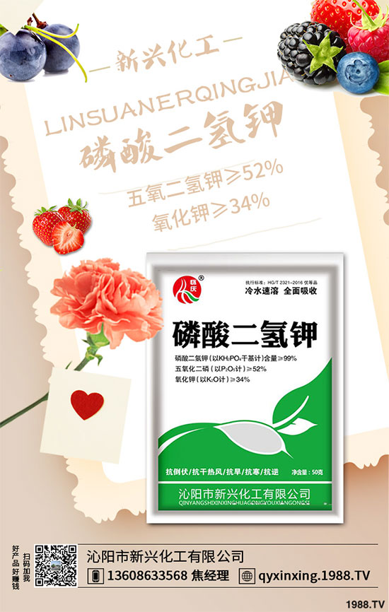 香蔥連作危害大,到底該如何解決?香蔥連作障礙及高產(chǎn)管理技術!