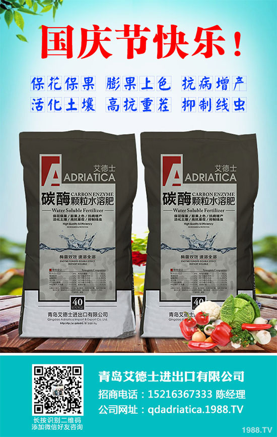 香蔥連作危害大,到底該如何解決?香蔥連作障礙及高產(chǎn)管理技術!