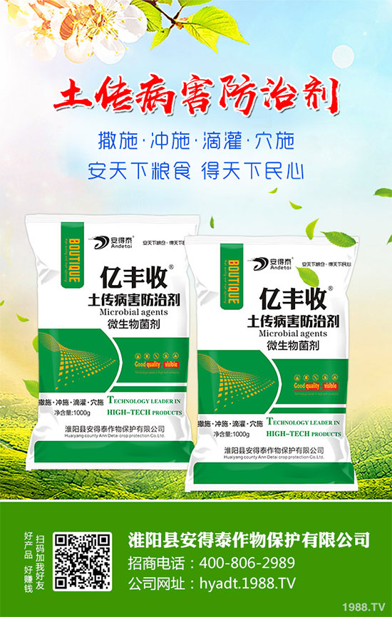 白蘿卜的功效與作用,白蘿卜營(yíng)養(yǎng)價(jià)值!