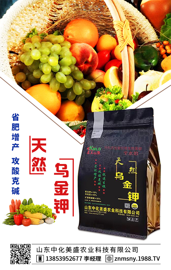 �۲˞�ʲô�����F(xi��n)�������۲˿��ĵķ��δ�ʩ��