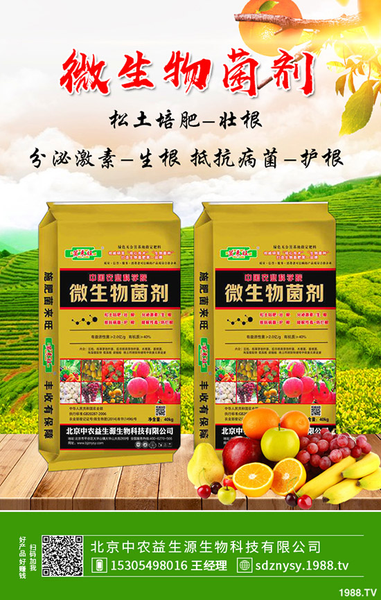 荷蘭豆秋季能種植么?畝產(chǎn)利潤如何?荷蘭豆種植管理技術(shù)!