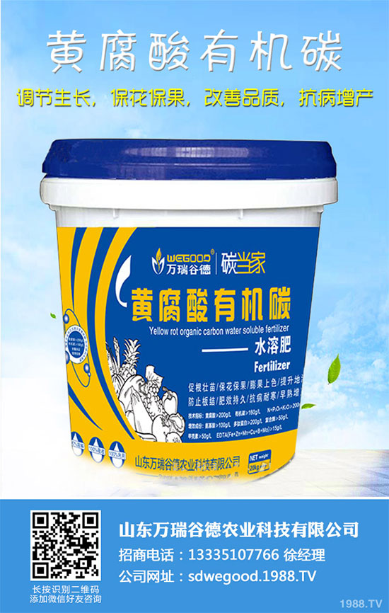 С�ײ�ʲô�r��Nֲ��С�ײ˸߮a(ch��n)�Nֲ���g(sh��)