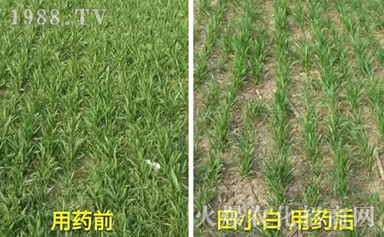 ��(ji��)��(ji��)����η�������ʲôˎ����ô��ˎЧ���ã�