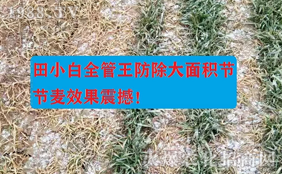 ��(ji��)��(ji��)����η�������ʲôˎ����ô��ˎЧ������