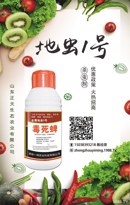 櫻桃蘿卜如何種植,櫻桃蘿卜需要注意什么?