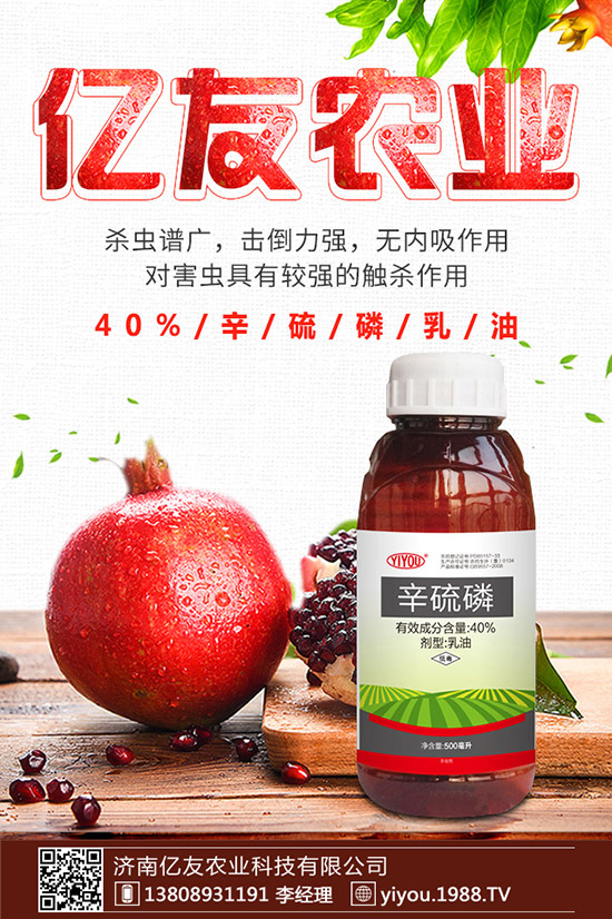 �D÷�N����ô�N���D÷�N�ӷNֲ������