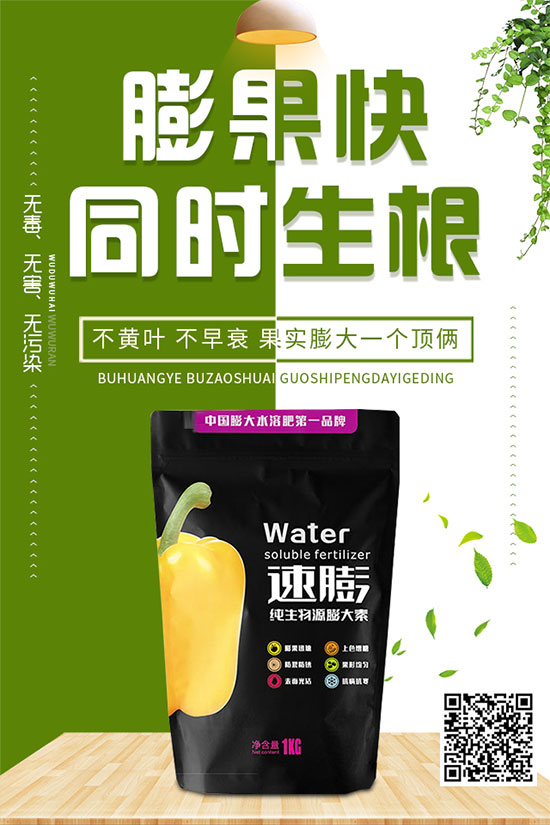 白菜霜霉病是如何引起的?有哪些危害?白菜霜霉病的預防措施