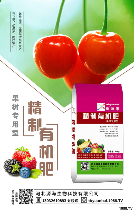 2020���㹽�Nֲǰ�������2020���㹽�Nֲٍ�X�᣿