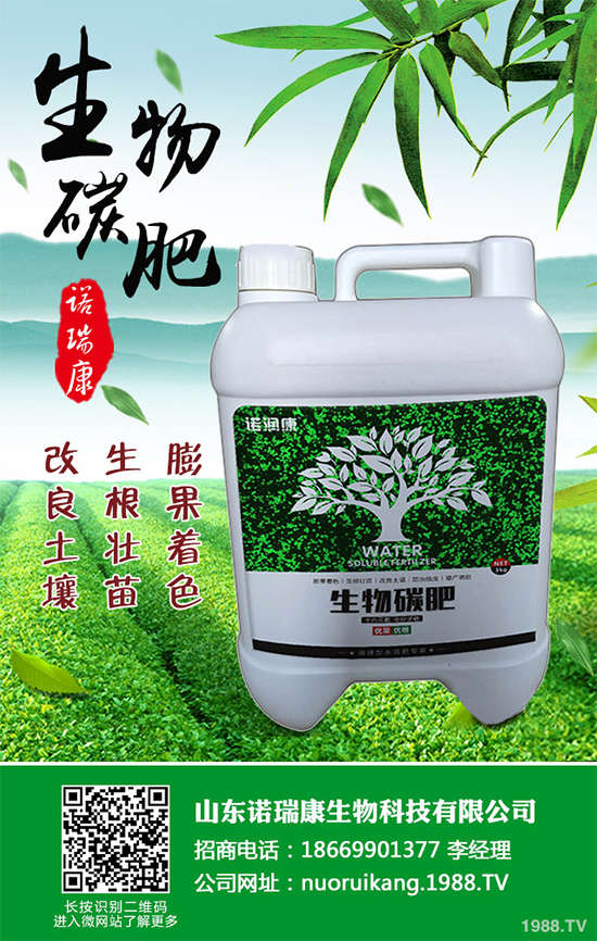 ����������ԓ��ô�N�������@���c���p�ɷN����������