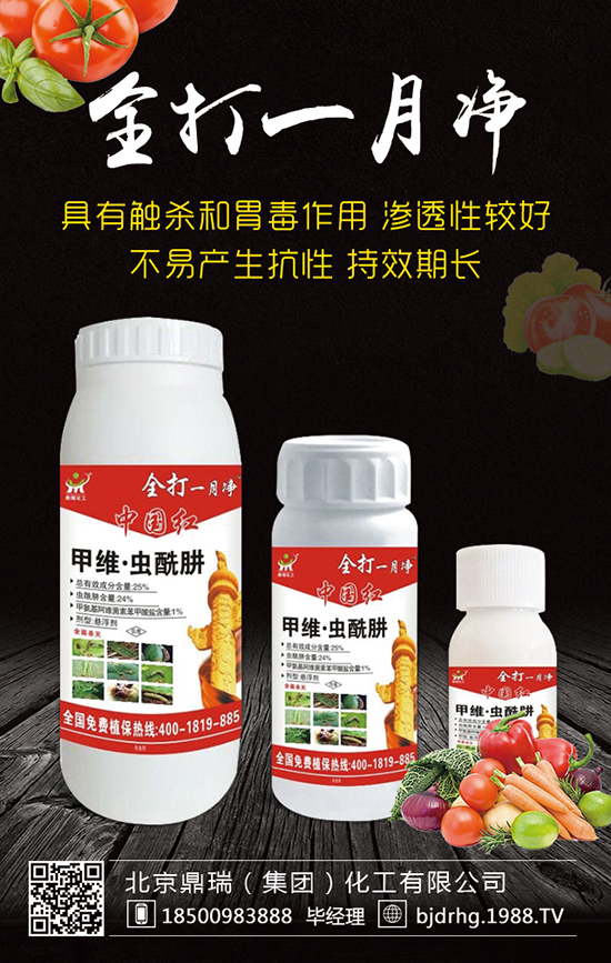 北京鼎瑞(集團(tuán))化工有限公司1