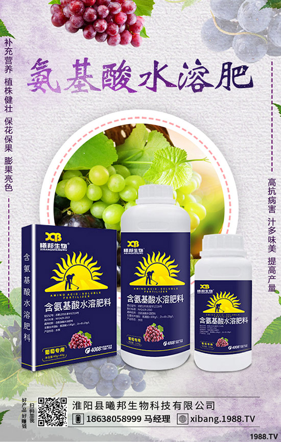 �＾�}����ô�Nֲ���＾�}���Nֲ���g(sh��)������Ҫ�c(di��n)��