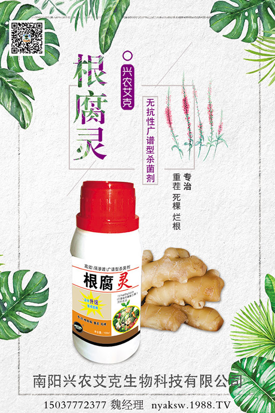 石榴樹(shù)能和哪些樹(shù)木嫁接,石榴樹(shù)的嫁接方法!