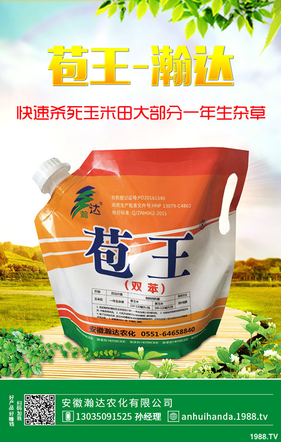 ʯ骻���ô�Nֲ��ʯ骻����B(y��ng)ֳ������