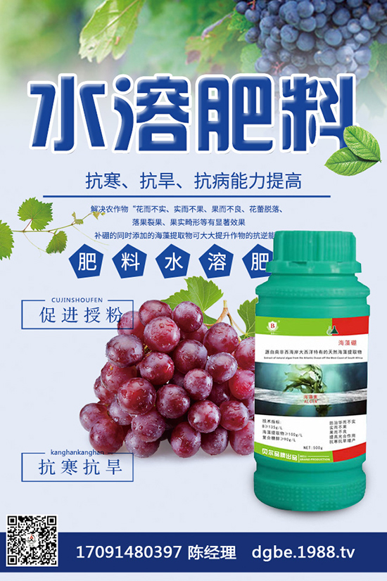 芒果怎么種才好?芒果高產(chǎn)種植技巧!