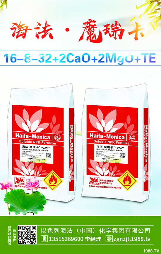     2019��10��31�ս��Շ���(n��i)���@�r���߄ݼ��������u