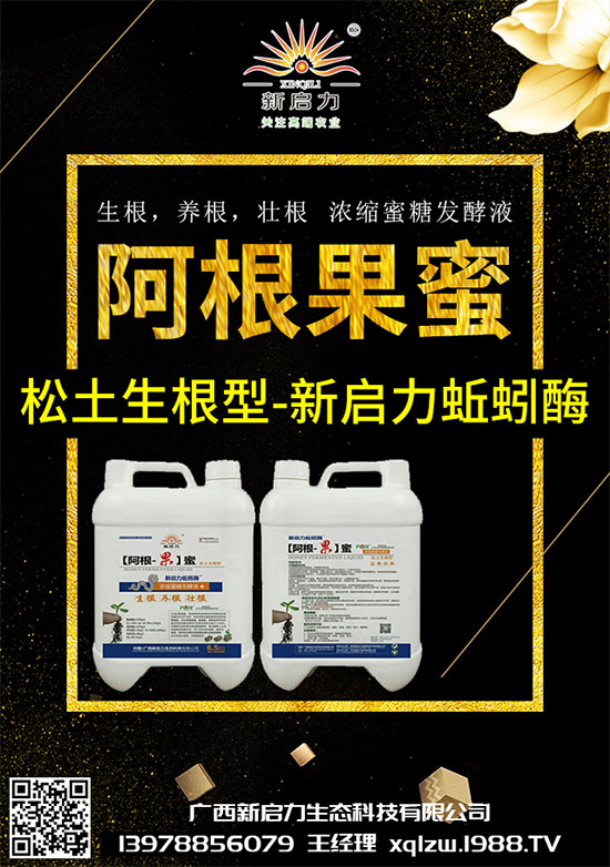 ���{(l��n)��Ä������ЩΣ��������{(l��n)�����İl(f��)���c���μ���