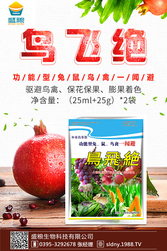 �������t������ڷ����������t���ڷ۷�������Щ��