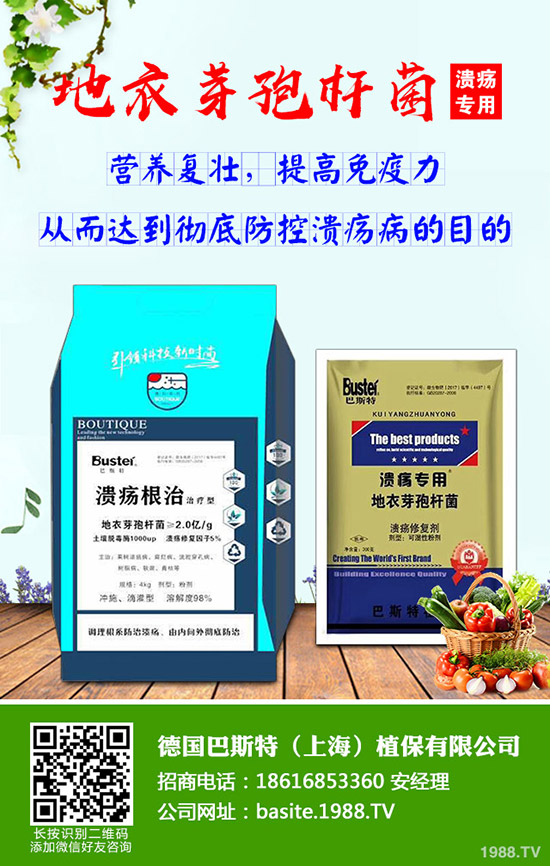 ���Շ���(n��i)�������@����(b��o)�r(ji��)������������(b��o)2019-10-9