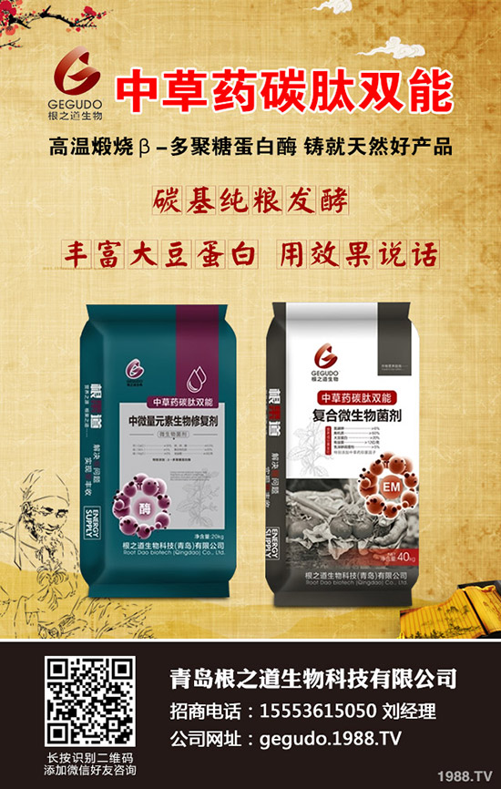 尿素跌至成本線?2019年11月國內(nèi)尿素市場行情走勢預(yù)測!