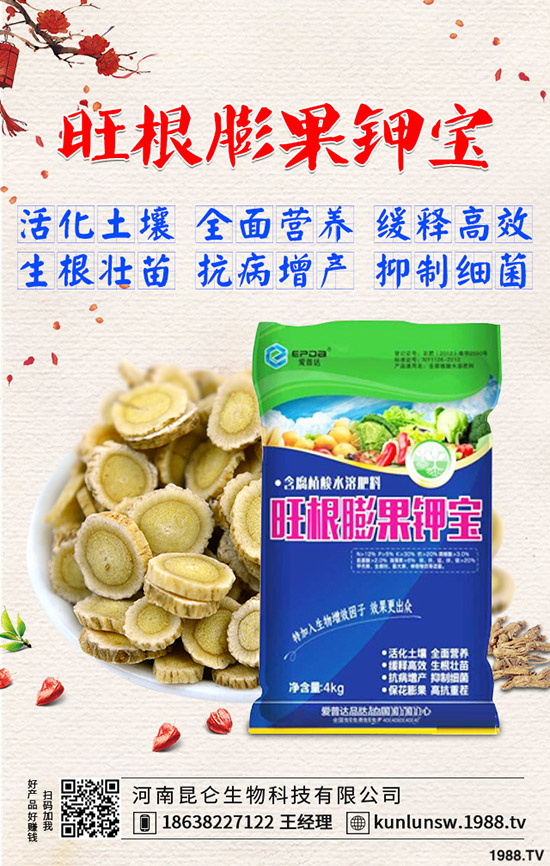 高粱什么時候種植,高粱田間管理技術(shù)有哪些?