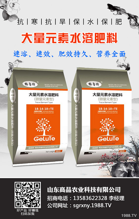 2019��11��12�ձ���������(n��i)⛷������߄��A(y��)�y��