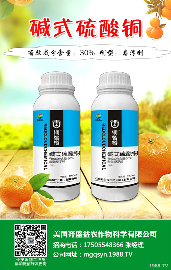     �O���������r��