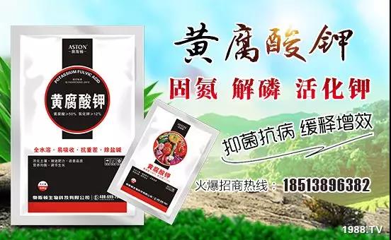 �VԴ�S����⛡�����Ʒ�ʣ�1����=8���ЙC(j��)�����½�Դ�^ֱ�l(f��)������