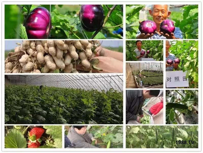 �VԴ�S����⛡�����Ʒ����1����=8���ЙC(j��)�����½�Դ�^ֱ�l(f��)������