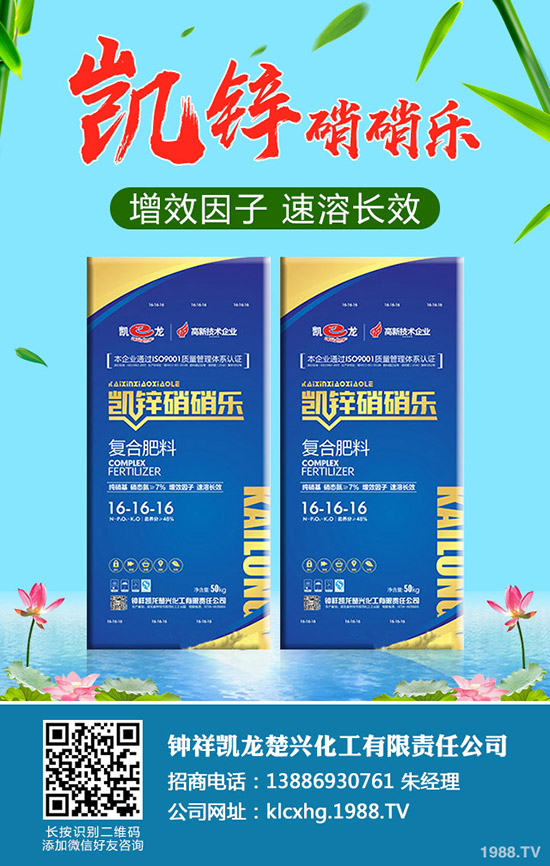 什么是有機大白菜,有機大白菜種植要點有哪些?