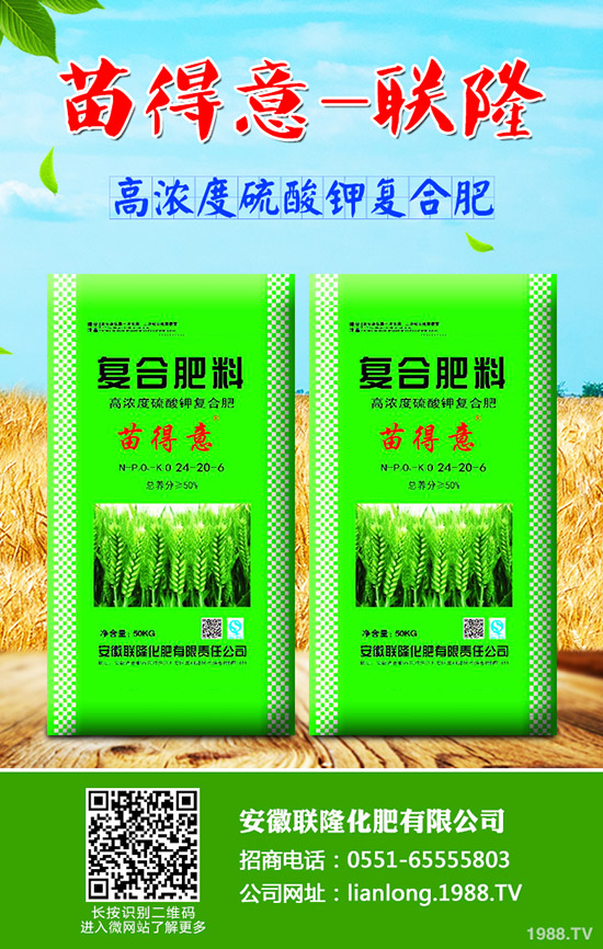 吃牛蒡?qū)ι眢w有什么好處?牛蒡的營(yíng)養(yǎng)價(jià)值及功效!