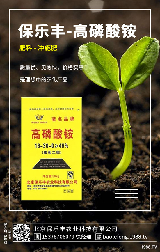 �}���������l(f��)��Ҏ(gu��)������Щ���}������������Ҫ�c(di��n)��