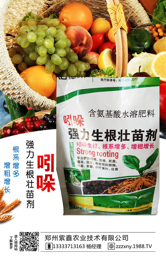 ��֥��Nֲ�r�g��ʲô�r�������֥��Nֲ�������g(sh��)��